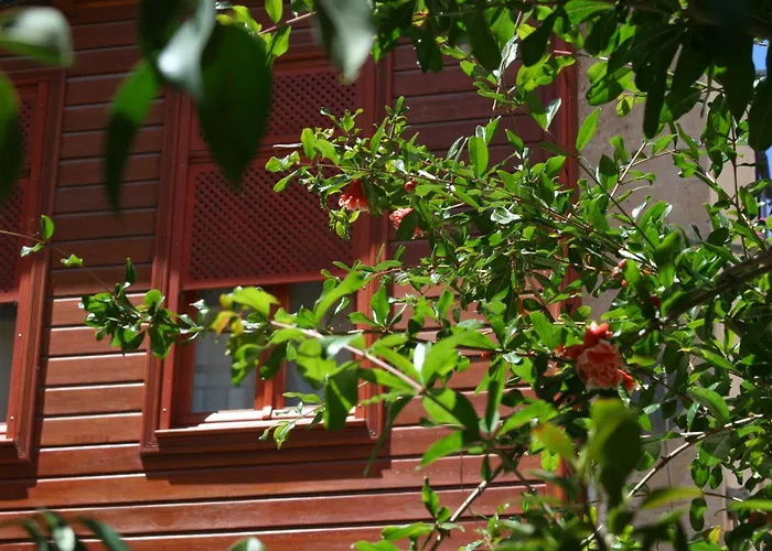 Ionas Boutique Hotel Chania 